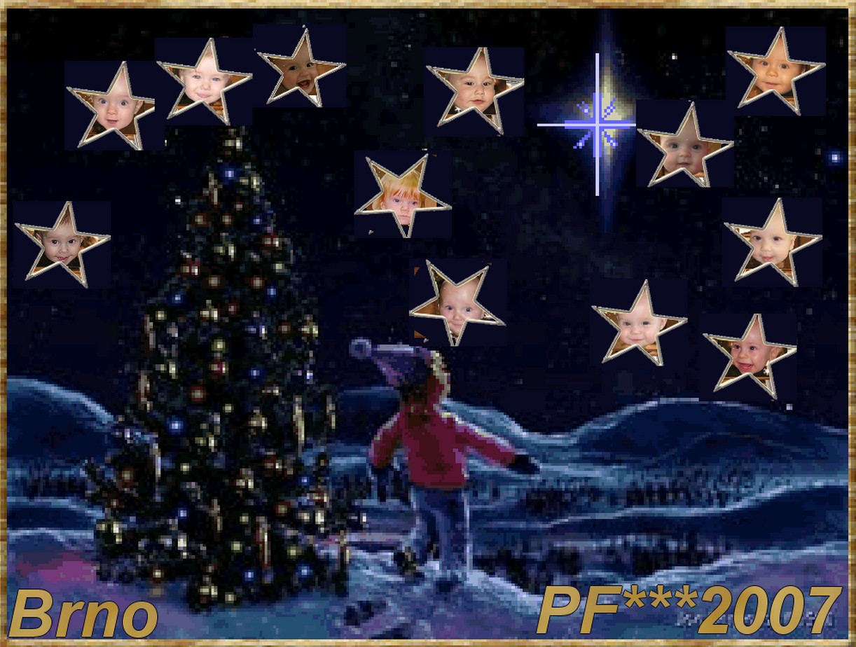 pf07.jpg